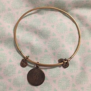 Alex and ani a charm bangle